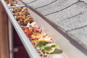 Leaves inside of a gutter system.